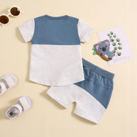 Load image into Gallery viewer, 2 Pieces Set Baby Kid Boys Color-blocking Tops And Shorts Wholesale 240802177
