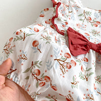 Load image into Gallery viewer, Baby Girls Fruit Print Rompers Wholesale 240802181
