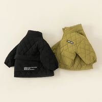 Load image into Gallery viewer, Baby Kid Boys Solid Color Jackets Outwears Wholesale 24091308
