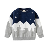 Load image into Gallery viewer, Baby Kid Boys Color-blocking Cartoon Sweaters Wholesale 24091335
