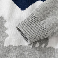 Load image into Gallery viewer, Baby Kid Boys Color-blocking Cartoon Sweaters Wholesale 24091335
