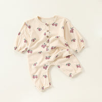 Load image into Gallery viewer, Baby Girls Boys Fruit Animals Cartoon Jumpsuits Wholesale 24110622
