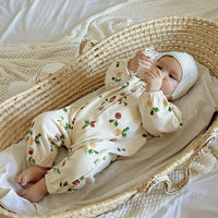 Load image into Gallery viewer, Baby Girls Boys Fruit Animals Cartoon Jumpsuits Wholesale 24110622

