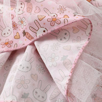 Load image into Gallery viewer, 2 Pieces Set Baby Girls Easter Letters Animals Rompers And Cartoon Skirts Wholesale 25021005
