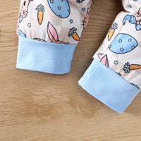 Load image into Gallery viewer, 2 Pieces Set Baby Girls Boys Easter Letters Print Rompers Animals And Cartoon Pants Wholesale 25021007
