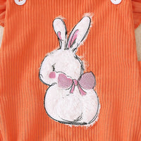 Load image into Gallery viewer, Baby Girls Animals Cartoon Easter Rompers Wholesale 250227141
