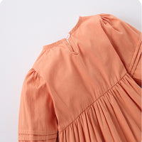 Load image into Gallery viewer, Baby Kid Girls Flower Embroidered Dresses Wholesale 25022783
