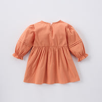 Load image into Gallery viewer, Baby Kid Girls Flower Embroidered Dresses Wholesale 25022783
