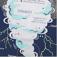 Load image into Gallery viewer, Kid Boys Letters Print Tops Wholesale 250403107
