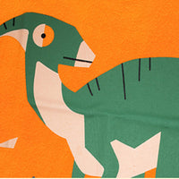 Load image into Gallery viewer, Kid Boys Dinosaur Cartoon Print T-Shirts Wholesale 250403109
