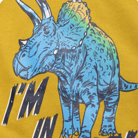 Load image into Gallery viewer, Kid Boys Letters Animals T-Shirts Wholesale 250403119
