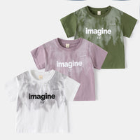 Load image into Gallery viewer, Kid Boys Letters Color-blocking Tops Wholesale 25060478
