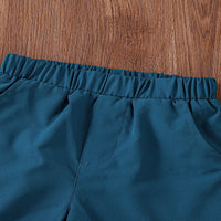 Load image into Gallery viewer, 2 Pieces Set Kid Boys Dinosaur Print Shirts And Solid Color Shorts Wholesale 250708119
