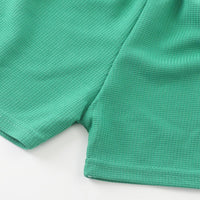 Load image into Gallery viewer, 2 Pieces Set Baby Kid Boys Solid Color T-Shirts And Shorts Wholesale 250708171
