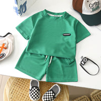 Load image into Gallery viewer, 2 Pieces Set Baby Kid Boys Solid Color T-Shirts And Shorts Wholesale 250708171
