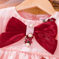 Load image into Gallery viewer, Baby Kid Girls Flower Bow Embroidered Dresses Wholesale 25070889
