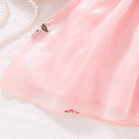 Load image into Gallery viewer, Baby Kid Girls Flower Bow Embroidered Dresses Wholesale 25070889
