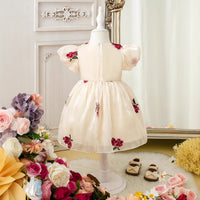 Load image into Gallery viewer, Baby Kid Girls Flower Bow Embroidered Dresses Wholesale 25070889
