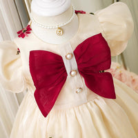 Load image into Gallery viewer, Baby Kid Girls Flower Bow Embroidered Dresses Wholesale 25070889

