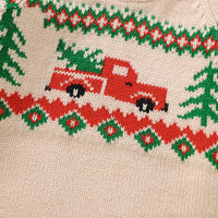 Load image into Gallery viewer, Baby Kid Girls Cartoon Plant Christmas Sweaters Wholesale 25101511
