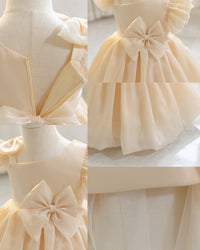 Load image into Gallery viewer, Baby Kid Girls Solid Color Bow Princess Dresses Wholesale 25112534
