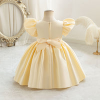 Load image into Gallery viewer, Baby Kid Girls Solid Color Embroidered Princess Dresses Wholesale 25112560
