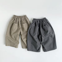 Load image into Gallery viewer, Baby Kid Boys Solid Color Pants Wholesale 25123128
