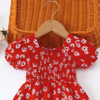 Load image into Gallery viewer, Baby Girls Flower Dresses Wholesale 26030904
