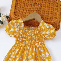 Load image into Gallery viewer, Baby Girls Flower Dresses Wholesale 26030904
