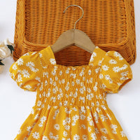 Load image into Gallery viewer, Baby Girls Flower Dresses Wholesale 26030904
