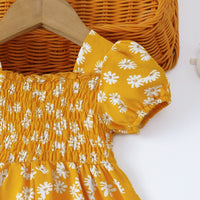 Load image into Gallery viewer, Baby Girls Flower Dresses Wholesale 26030904
