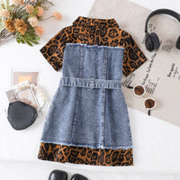 Load image into Gallery viewer, Baby Kid Girls Color-blocking Leopard print Dresses Wholesale 26031747
