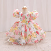 Load image into Gallery viewer, Baby Kid Girls Flower Print Princess Dresses Wholesale 26040202
