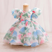 Load image into Gallery viewer, Baby Kid Girls Flower Print Princess Dresses Wholesale 26040202
