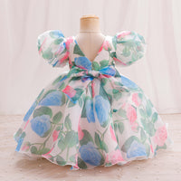 Load image into Gallery viewer, Baby Kid Girls Flower Print Princess Dresses Wholesale 26040202

