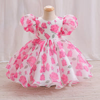 Load image into Gallery viewer, Baby Kid Girls Flower Print Princess Dresses Wholesale 26040202
