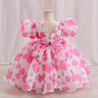 Load image into Gallery viewer, Baby Kid Girls Flower Print Princess Dresses Wholesale 26040202
