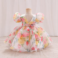 Load image into Gallery viewer, Baby Kid Girls Flower Print Princess Dresses Wholesale 26040202
