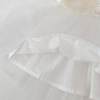 Load image into Gallery viewer, Baby Kid Girls Summer Cotton Flying Sleeve Tulle Embroidery Dress Wholesale 26051128

