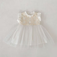 Load image into Gallery viewer, Baby Kid Girls Summer Cotton Flying Sleeve Tulle Embroidery Dress Wholesale 26051128
