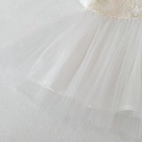 Load image into Gallery viewer, Baby Kid Girls Summer Cotton Flying Sleeve Tulle Embroidery Dress Wholesale 26051128
