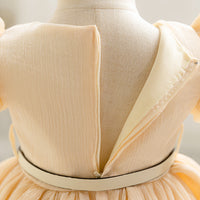 Load image into Gallery viewer, Baby Kid Girls Solid Color Princess Dresses Wholesale 327821389
