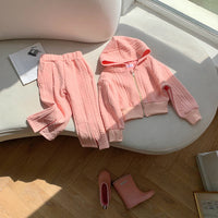 Load image into Gallery viewer, 2 Pieces Set Baby Kid Girls Solid Color Jackets Outwears And Pants Wholesale 23090676
