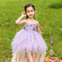 Load image into Gallery viewer, Baby Kid Girls Star Dancing Dresses Tutus Pettiskirts Wholesale 031510256
