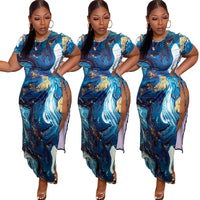 Load image into Gallery viewer, Women Graphic Print Dresses Wholesale 05929430
