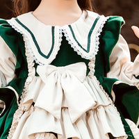 Load image into Gallery viewer, Baby Kid Girls Love heart Bow Lace Birthday Party Dresses Princess Dresses Wholesale 048510232
