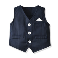 Load image into Gallery viewer, 3 Pieces Set Baby Kid Boys Dressy Birthday Party Striped Bow Shirts Solid Color Vests Waistcoats And Pants Wholesale 211109240
