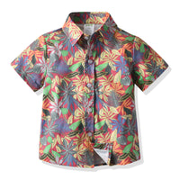 Load image into Gallery viewer, 2 Pieces Set Baby Kid Boys Plant Print Shirts And Graphic Shorts Wholesale 211109612
