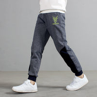 Load image into Gallery viewer, Kid Boys Animals Embroidered Pants Wholesale 211111317
