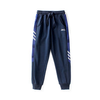 Load image into Gallery viewer, Kid Boys Striped Color-blocking Camo Sports Pants Wholesale 211111335
